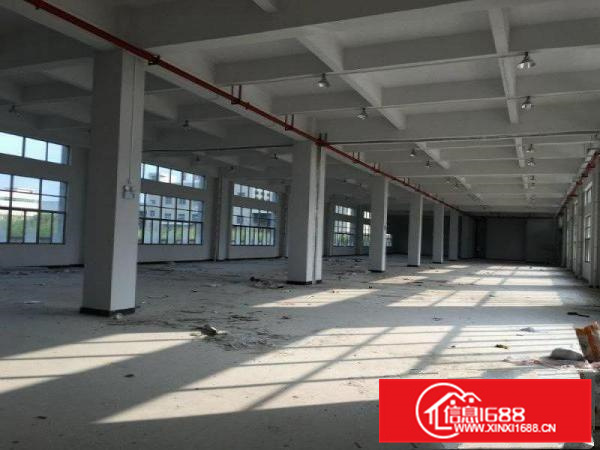 马安新建独院厂房3450平方（空地5000平方）招租