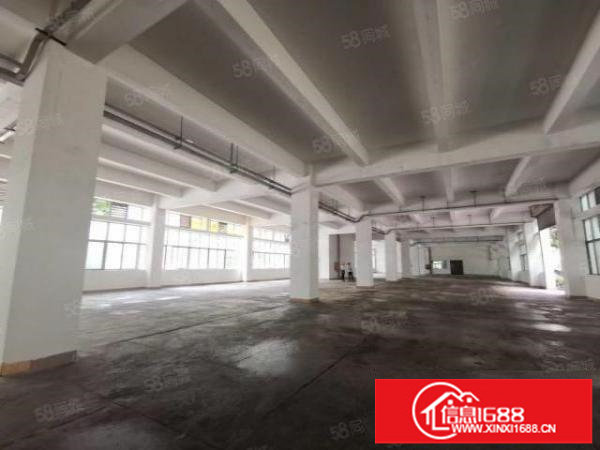 坂田雪象新村附近红本厂房楼上5000平厂房出租大小可分租