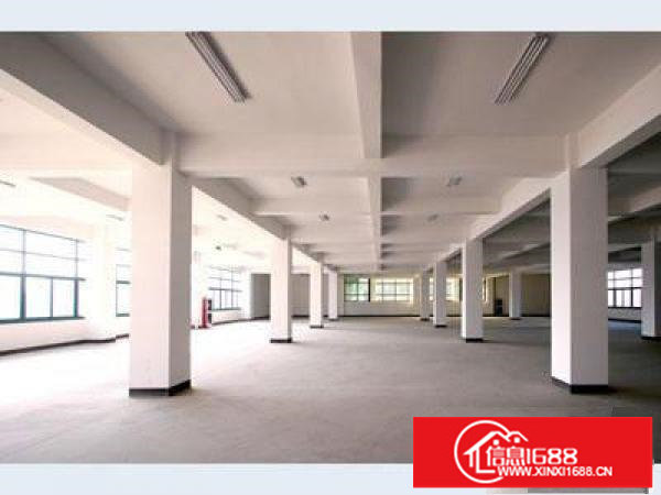 大和路口标准1楼1145平方！可装峰谷表！现成装修