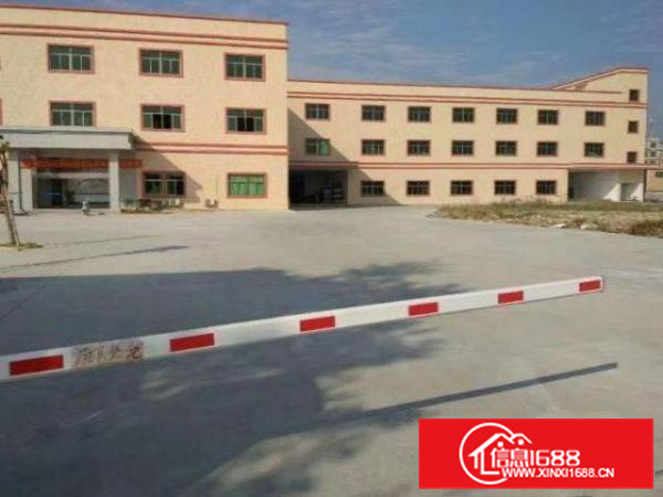 荷城尼教村出租1楼1200平厂房，带装修，水电齐全