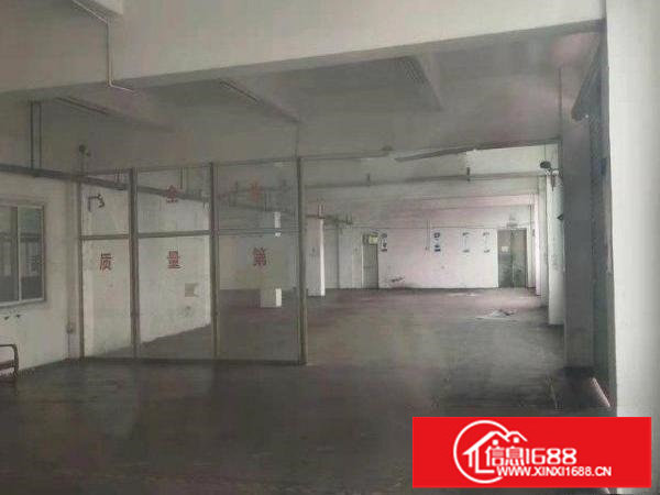 四联独门独院新装修4600平方厂房出租可分租有消防