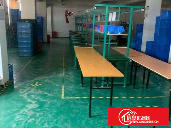 清溪罗马600平方电梯小厂房出租