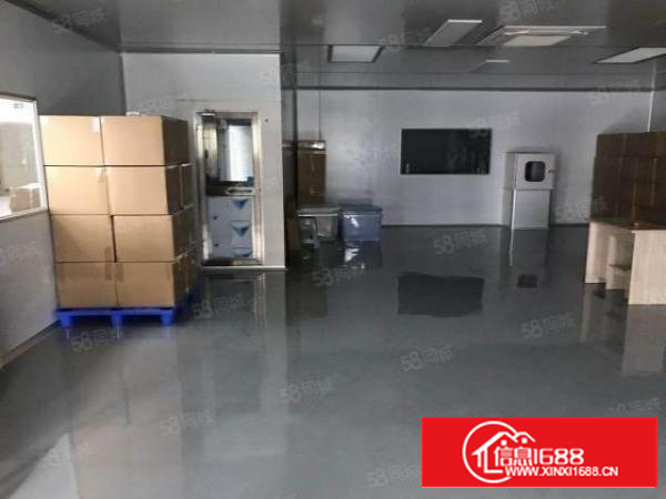 石排新楼上。一楼800平方.价格优惠不要错过