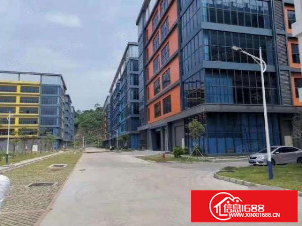 大岭山厚大路百花洞高新技术产业园新空出楼上24楼9000平