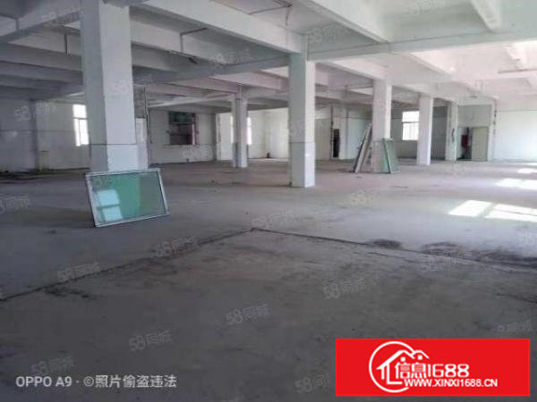 平湖鹅公岭原房东独院厂房2楼2331平分租有红本