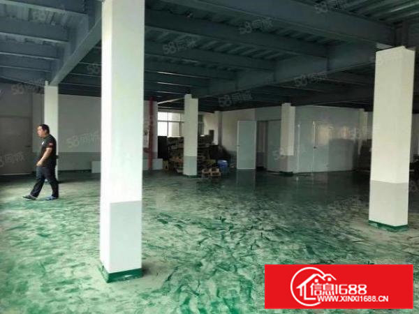 实图）大朗独院厂房1楼2楼4楼各1000平，新地坪漆，可分租