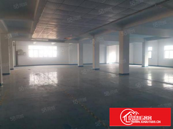 茶山新出650平有地坪漆有电梯园区形象好高大上停车位充足