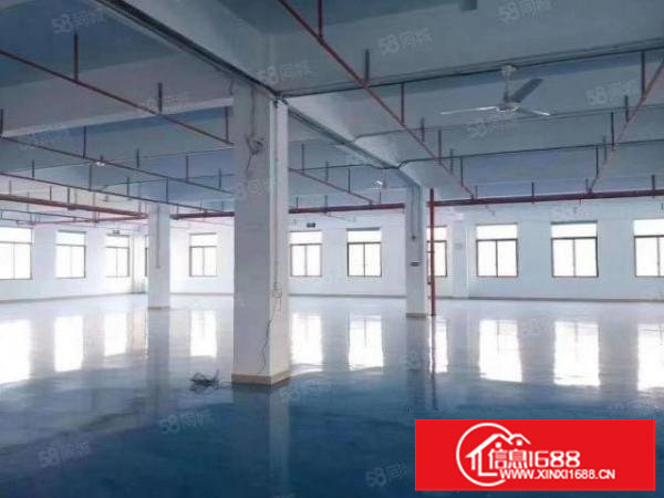 坑梓秀新社区原房东花园式标准一楼1320平米厂房实际面积出租