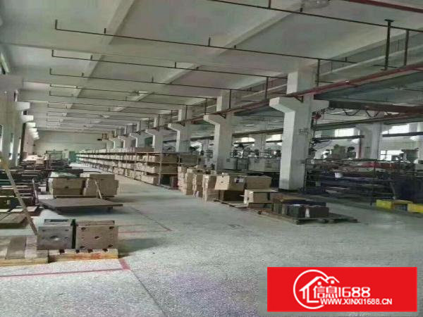 常平上坑新出标准厂房1-2层3200平方招租水电齐全带牛角