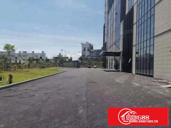 长安上沙楼上14000平整层工业园红本厂房出租仓库出租可分