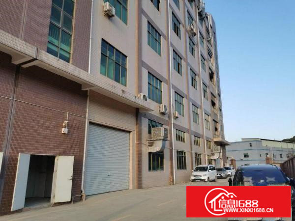 凤岗碧湖大道旁一二楼各1000平米出租6米高九成新厂房