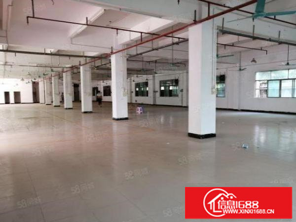 新木低碳产业园4000平方标准厂房出租一楼仓库招租