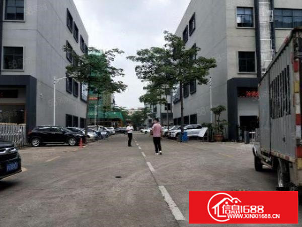 龙华大浪原房东实际面积出租3000平（无公摊）可合租分租