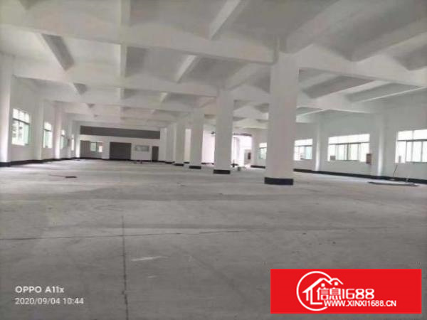 安良独门独院厂房12800平方、大小可分租、适合各行各业