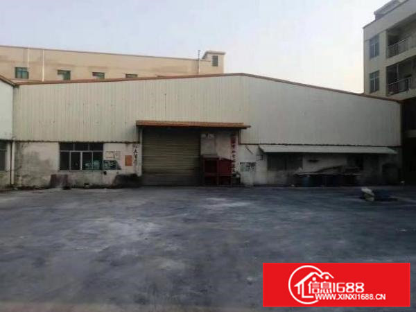 企石镇新出独院钢构5000平方