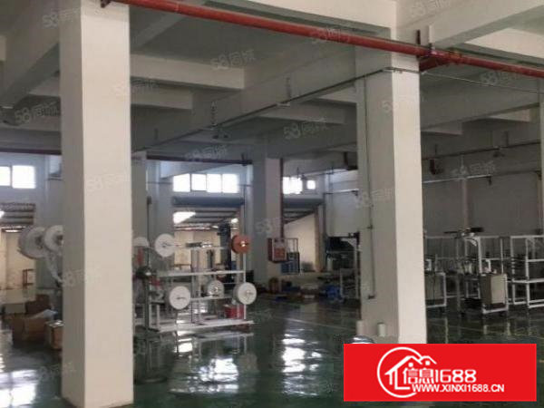 可办环评高埗镇独门独院900m平方厂房交通优惠