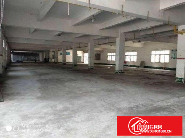 凤岗原房东，1楼1700平，钢构1400平，可分租