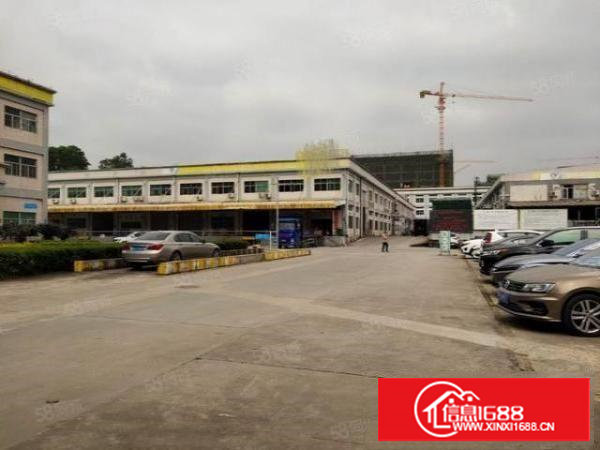 塘厦龙背岭新出滴水10米高单一层独院厂房出租，平台空地大