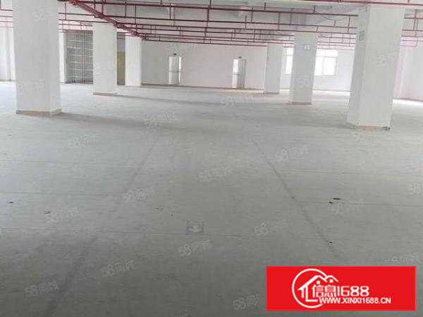 塘厦桥陇工业园标准1楼1560平方！可分租！消防合格