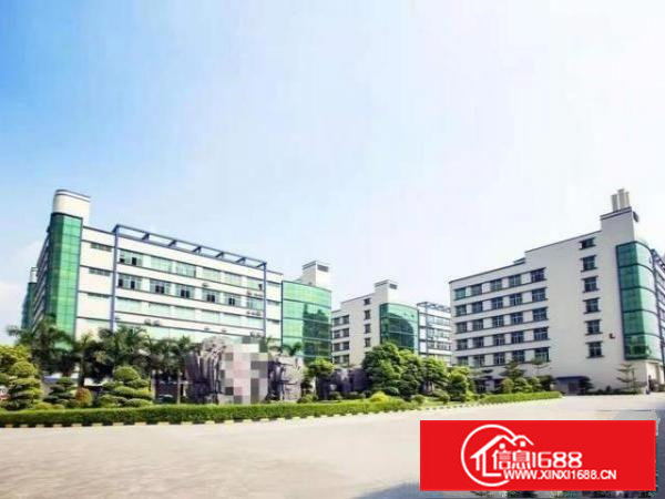 东莞市大岭山镇原房东高薪红本现成装修整层1680平出租