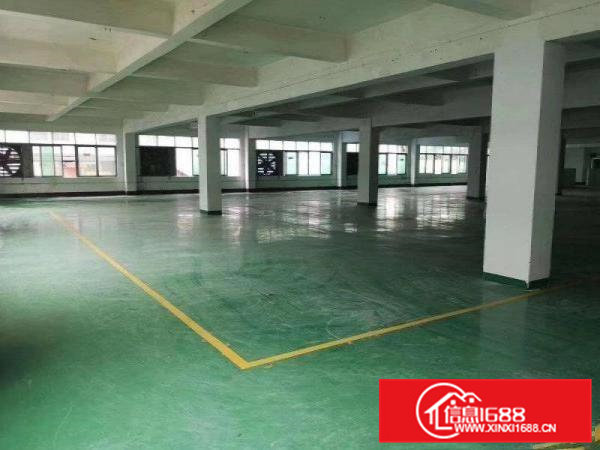 黄江社贝新出1800平无尘级厂房