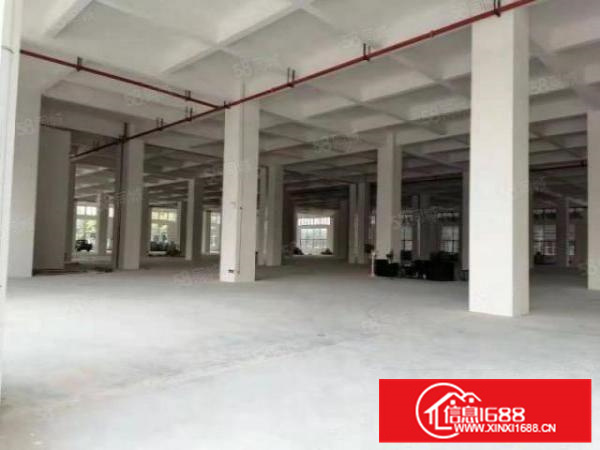 狮山兴业路全新独栋楼层厂房