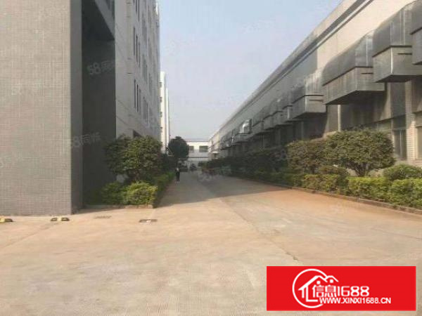 （原房东）容桂9000方单一层厂房出租，500方起分租