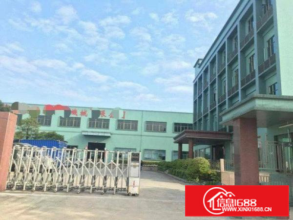 东莞市横沥镇新城工业区独院厂房急租