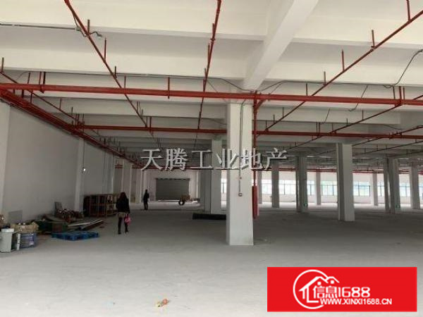 笋容桂全新厂房出租首层6000方