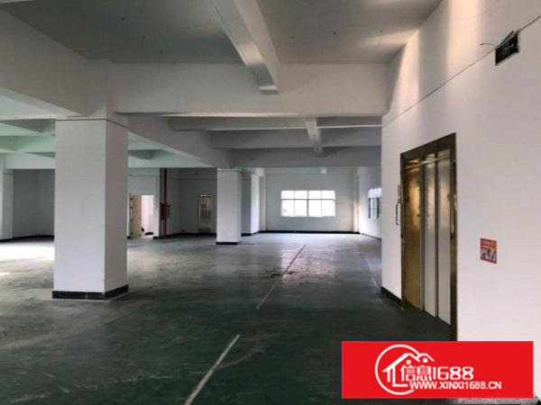 大岭山镇原房东厂房出租