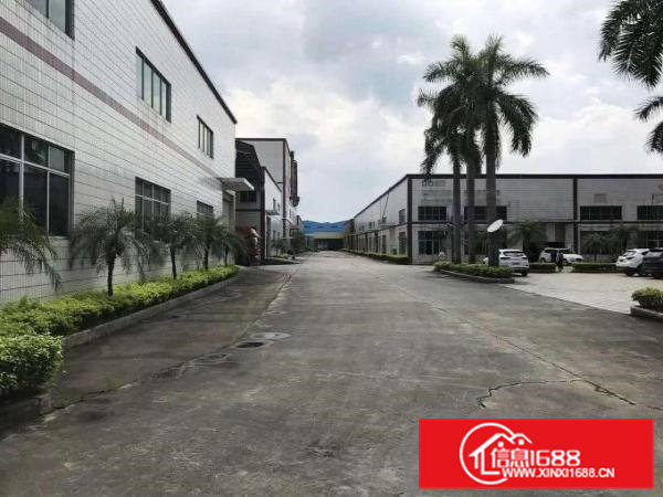 桥头石水口10米单层厂房有证