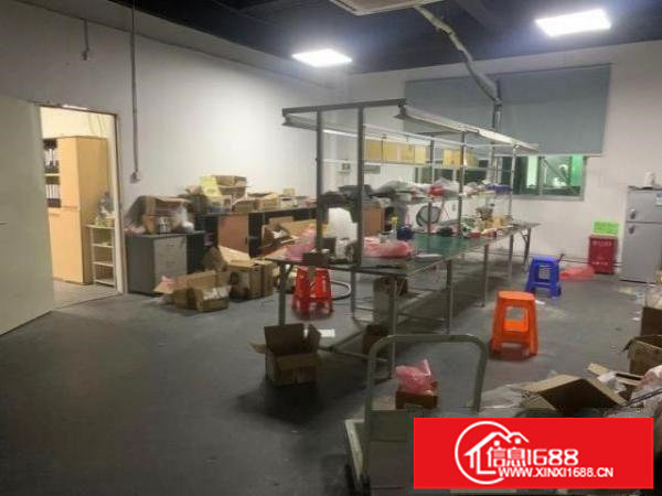 坂田带装修办公室厂房仓库业主出租（非中介）