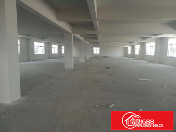 里水桂和路7000方标准独院厂房招租