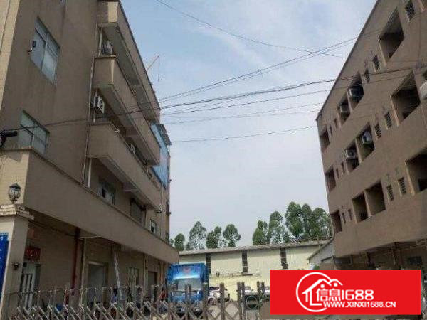 桥头岗头独院厂房2600平