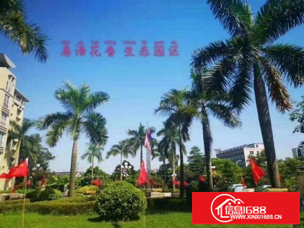 虎门滨海湾新区花园式厂房，免租租6个月，特价招租