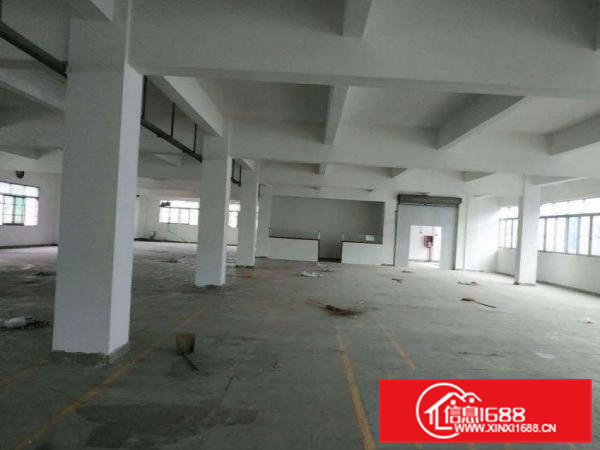 护安围原房东独门独院厂房，2楼整层1200平方