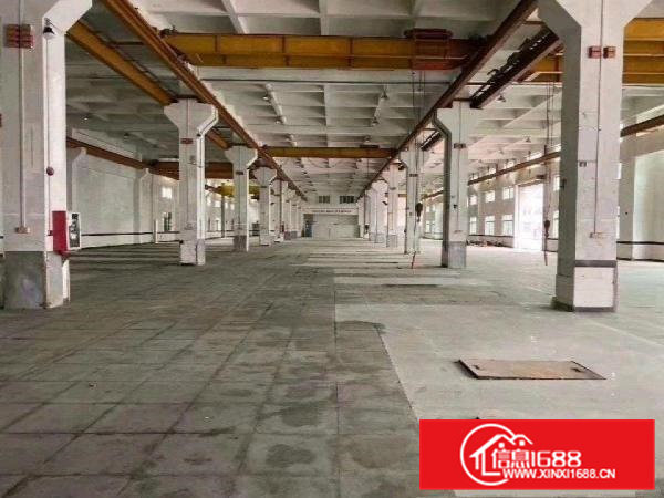 原房东常平镇独门独院标准厂房16000平工业用地空地超大