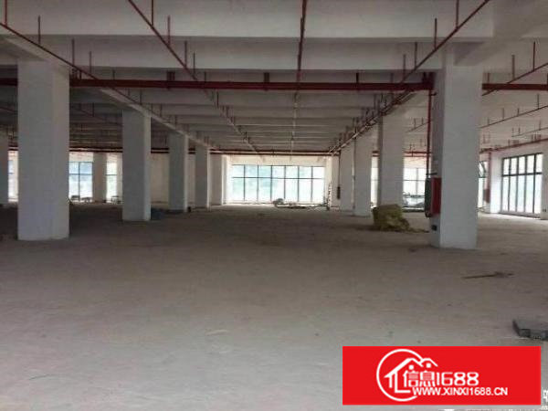 横岗园林式厂房1000平出租带装修报价22元一平临近地铁站
