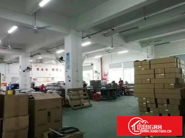 石湾镇标准独院厂房出租2100消防喷淋包办环评