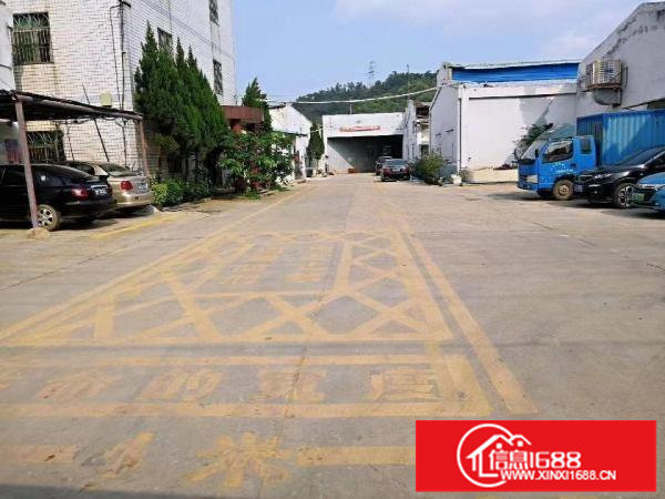 16元出租6米高900平方钢构仓库