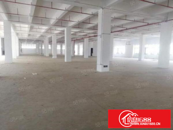 深圳坪山区96557平米全新工业厂房出租，可以分租