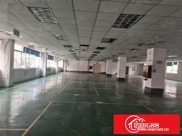 布吉原房东红本厂房3.6万平方出租，布吉地铁商业厂房整栋出租