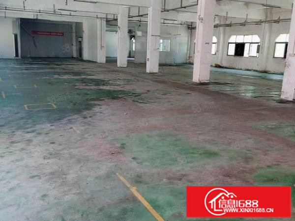 天堂围原房东独门独院厂房出租6600平方