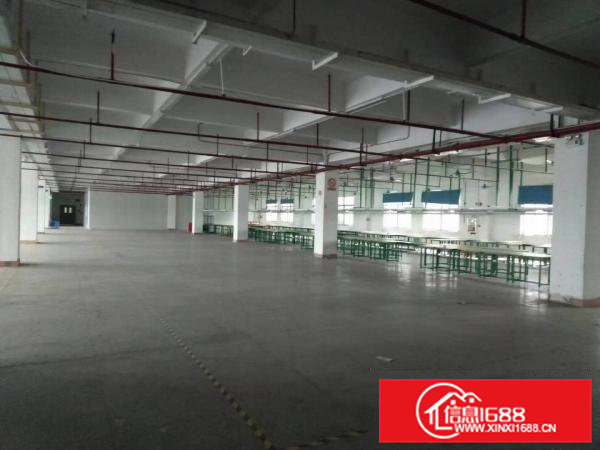 常平新出原房东标准厂房6000平方出租