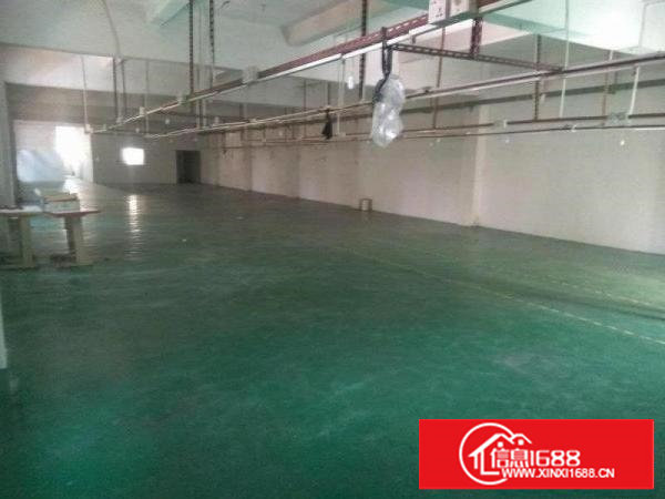 塘厦标准3楼650平,带地坪漆,主线到车间,带排线