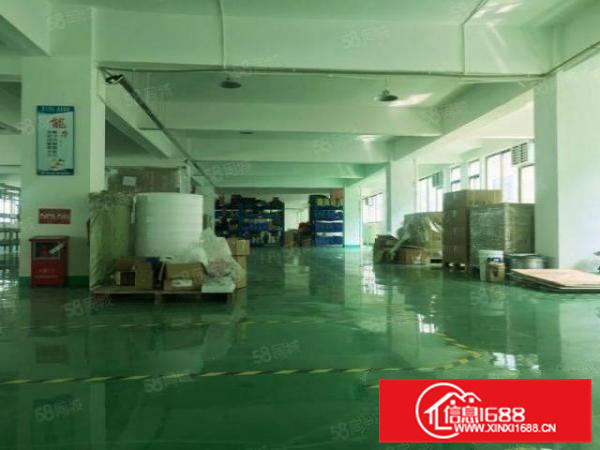 可办环评，均安镇1000方标准带装修厂房，有办公，水电齐全