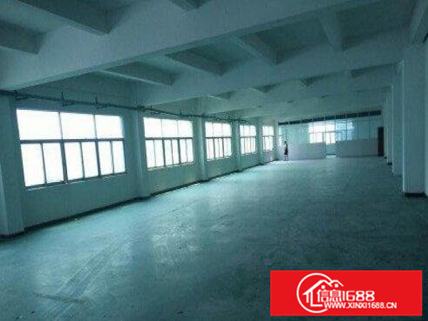 清溪谢坑工业区现有一楼750平带现成装修标准厂房招租