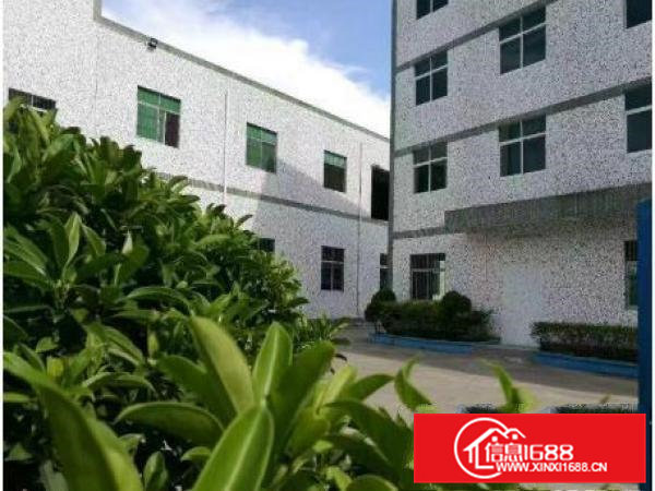 凤岗塘沥2500平方米厂房出租水电按需