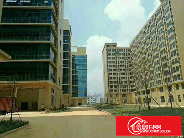 凤岗镇高端产业园（双证齐全）十三万平米招商大小分租