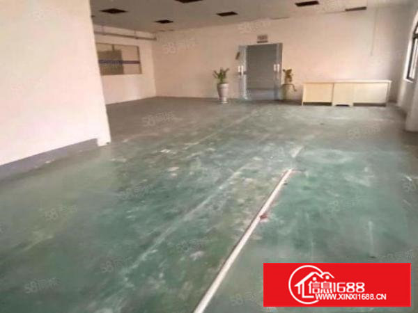 塘厦石鼓标准一楼600平，大小分租！可办环评